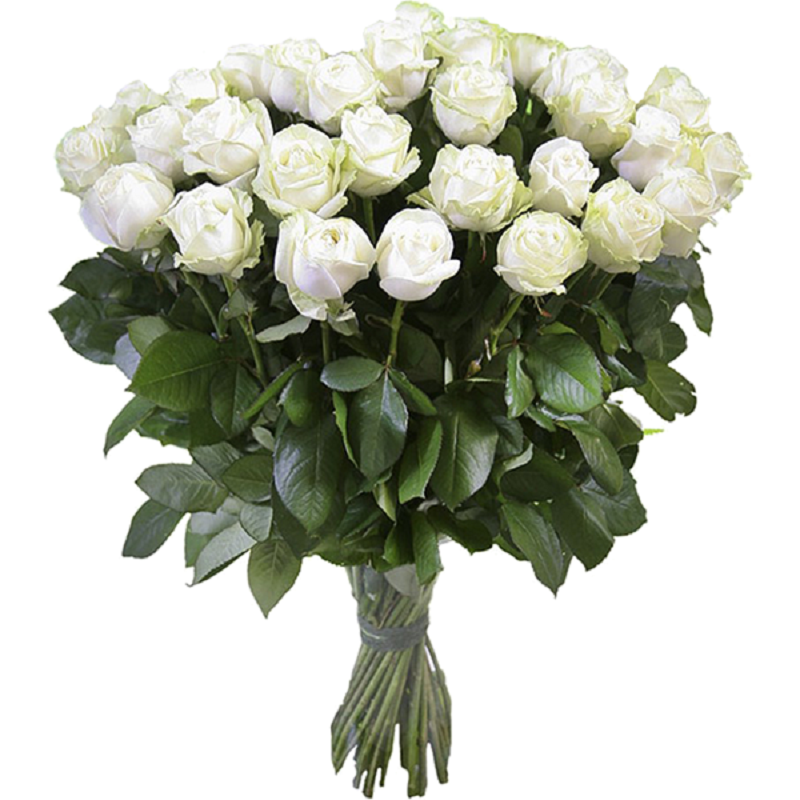 Букет цветов из белых роз фото